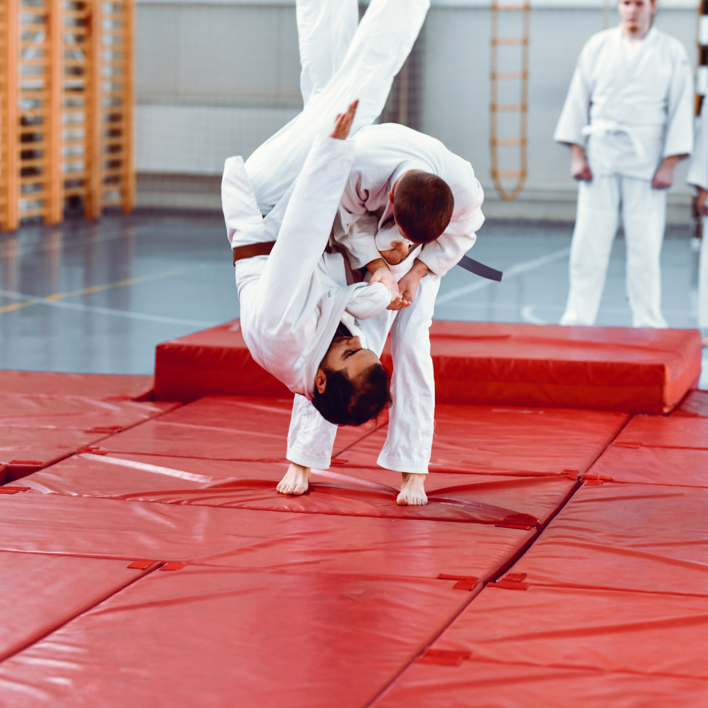 judo